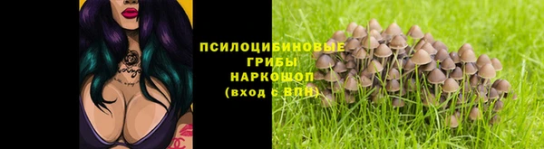 винт Верхний Тагил