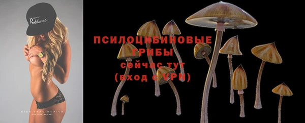 бутират Верея