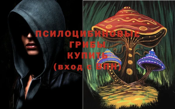 винт Верхний Тагил