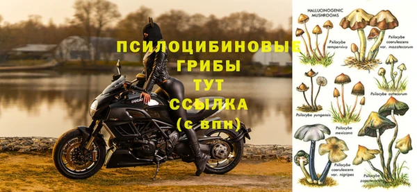 бутират Верея